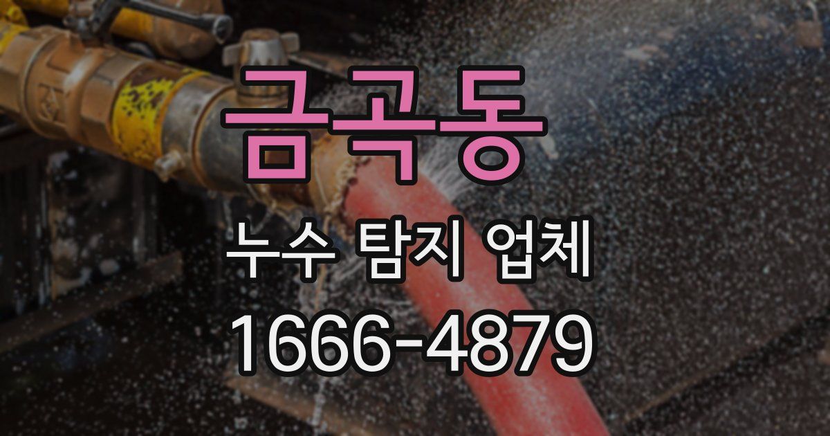 금곡동 누수 탐지 업체