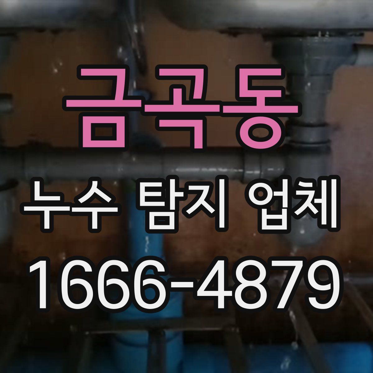 금곡동 누수 탐지 업체