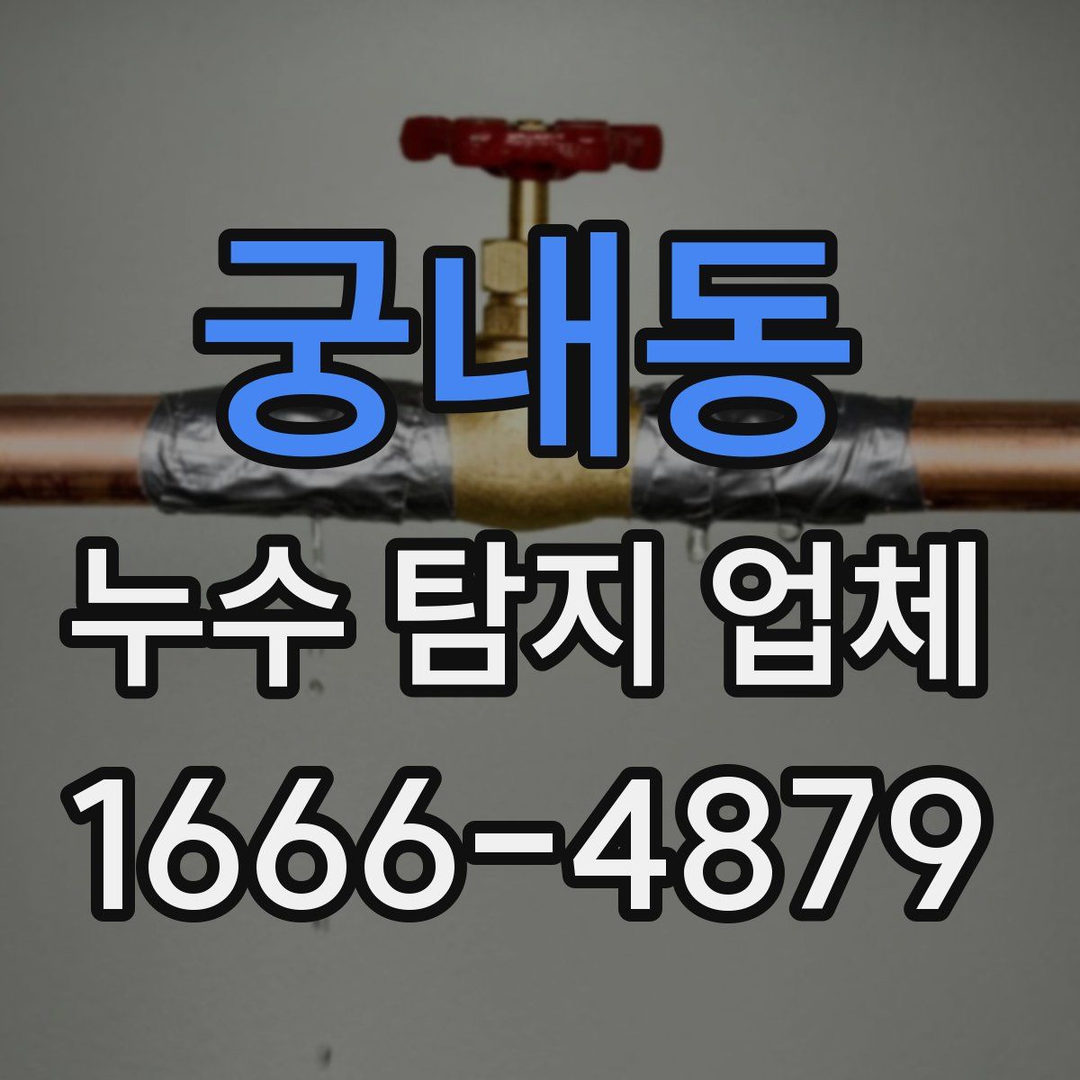 궁내동 누수 탐지 업체