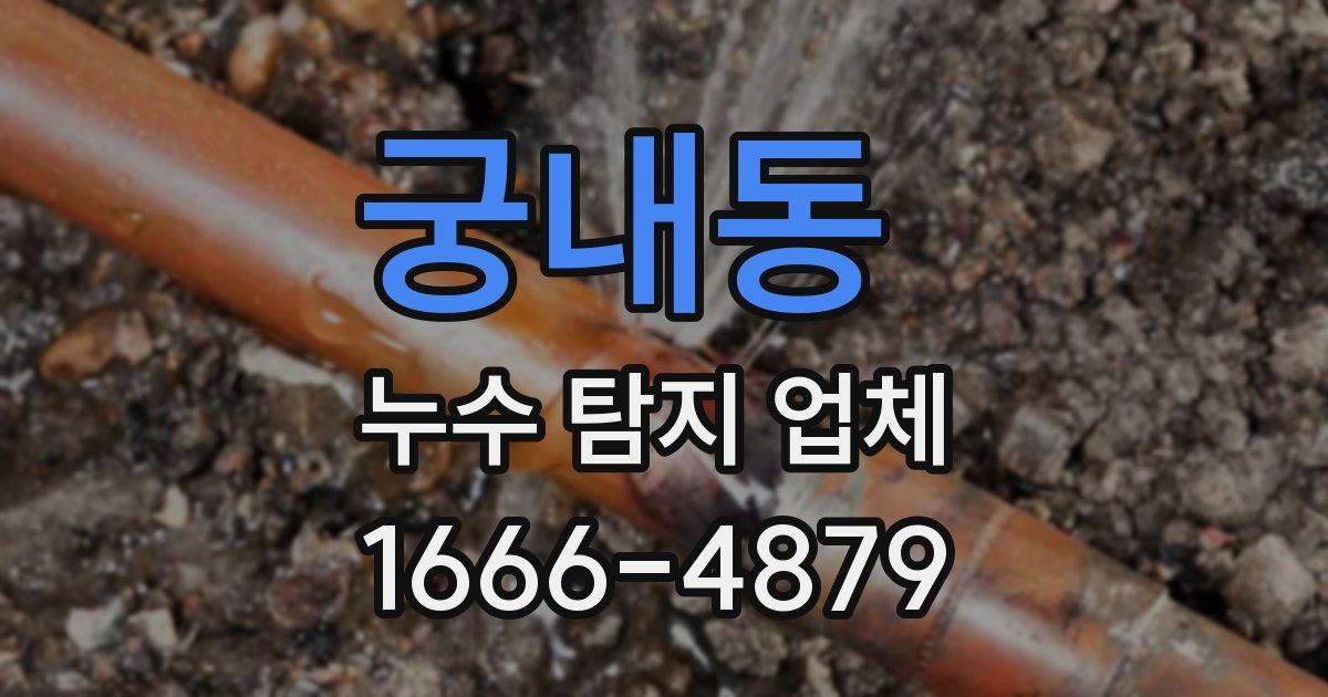 궁내동 누수 탐지 업체