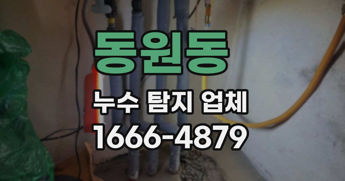 동원동 누수 탐지 업체