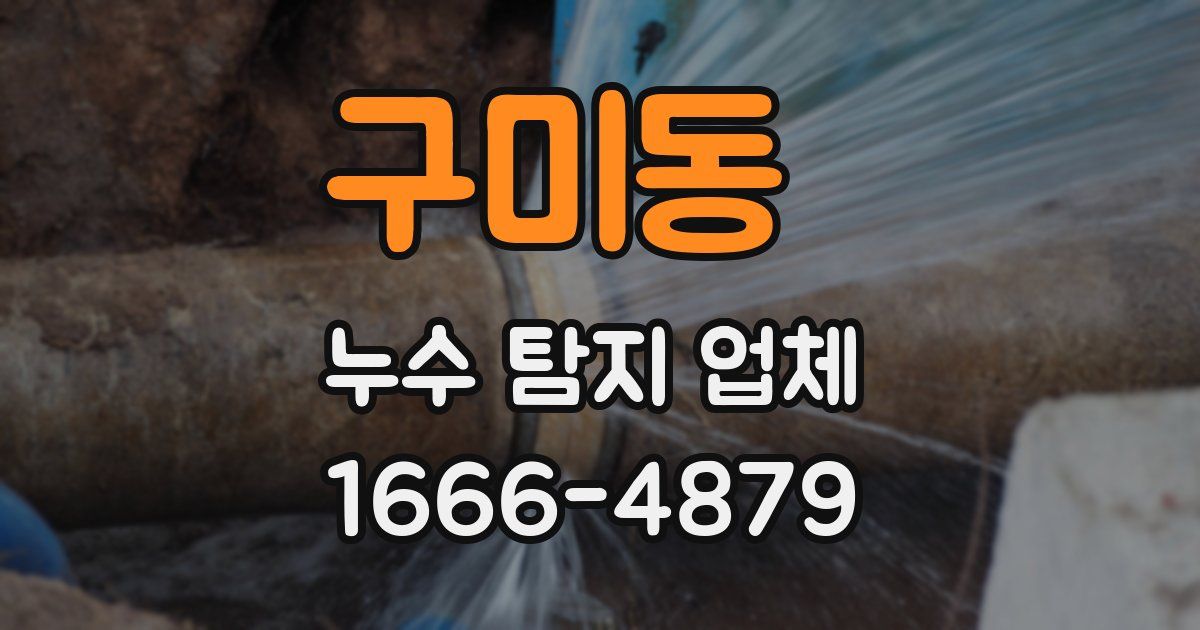 구미동 누수 탐지 업체