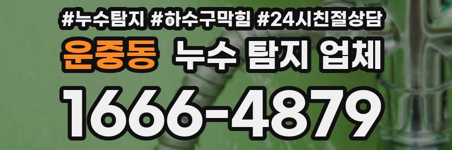 운중동 누수 탐지 업체