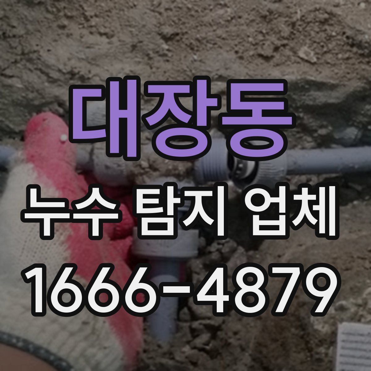 대장동 누수 탐지 업체