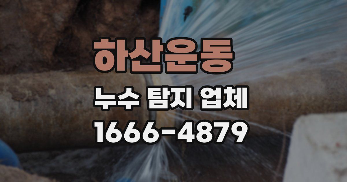 하산운동 누수 탐지 업체