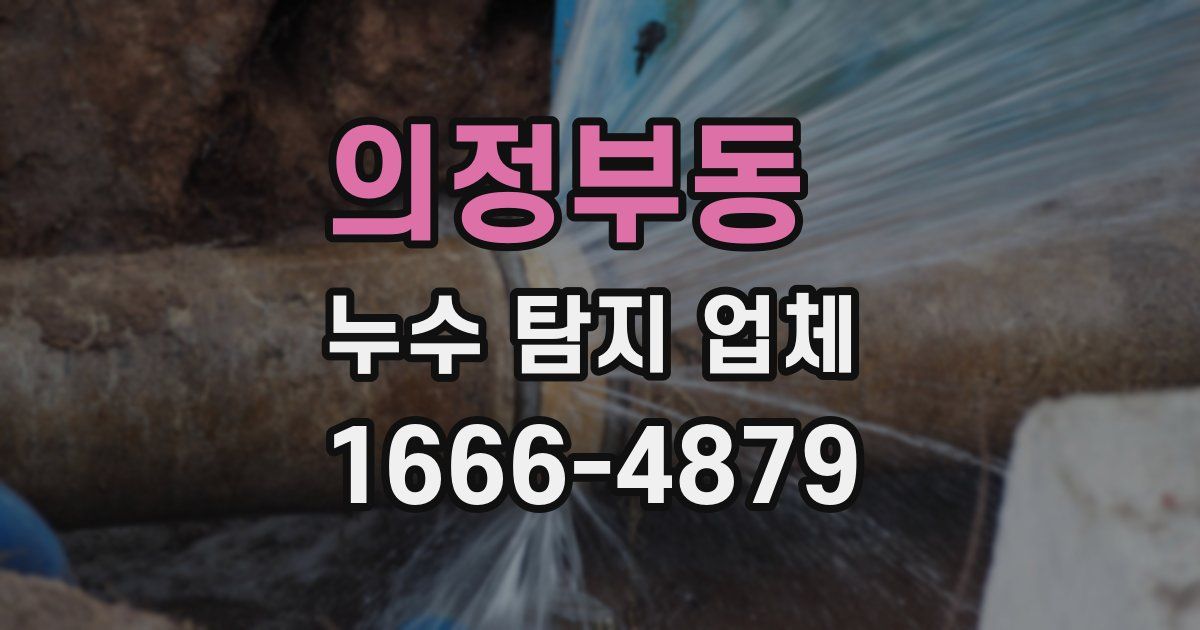 의정부동 누수 탐지 업체