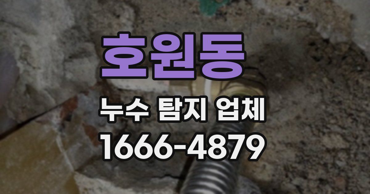 호원동 누수 탐지 업체