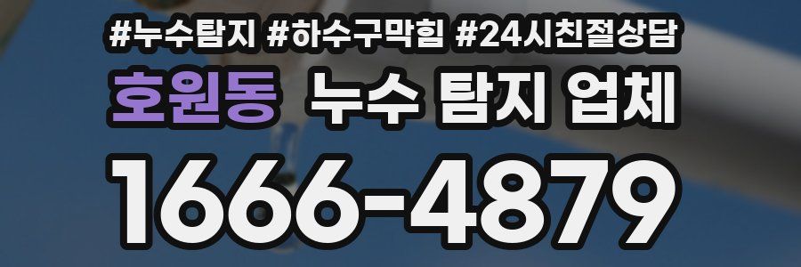 호원동 누수 탐지 업체