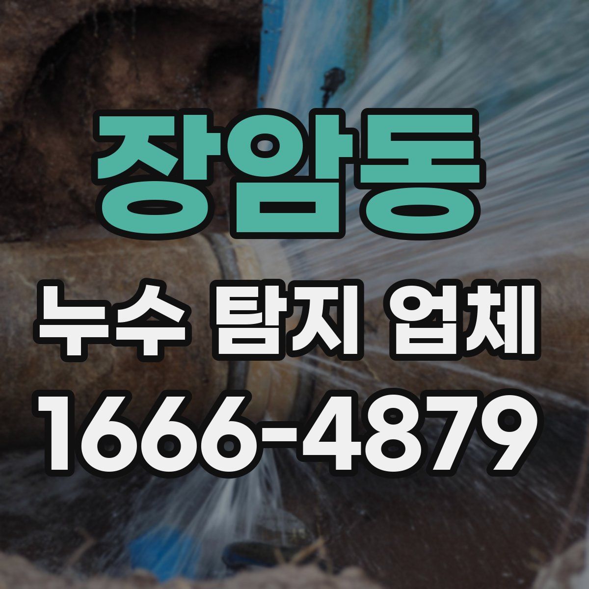 장암동 누수 탐지 업체