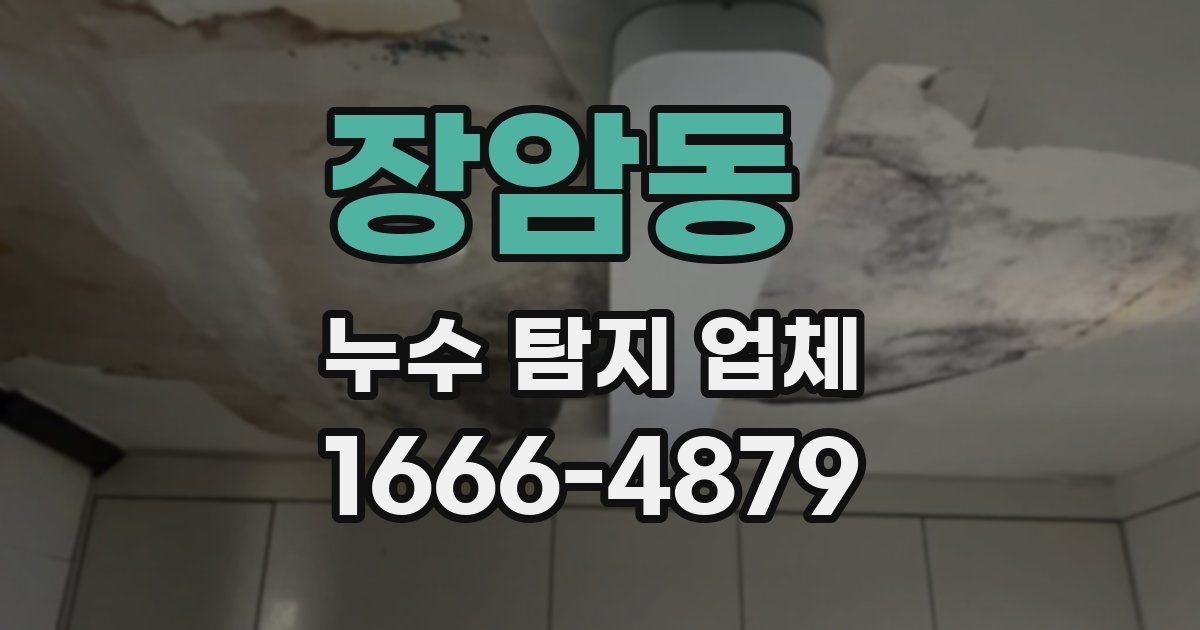 장암동 누수 탐지 업체