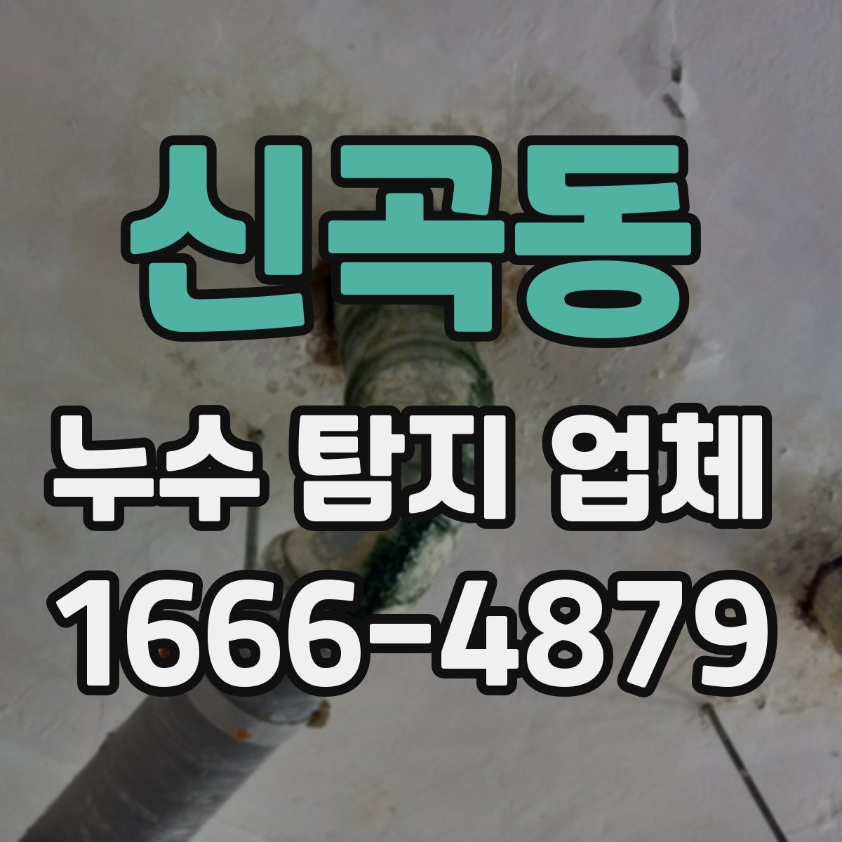 신곡동 누수 탐지 업체