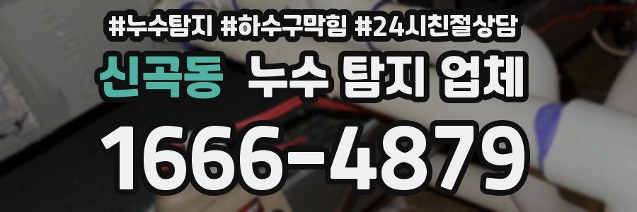 신곡동 누수 탐지 업체