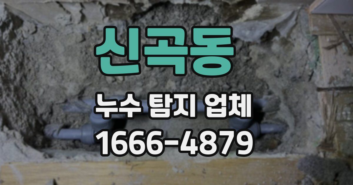 신곡동 누수 탐지 업체
