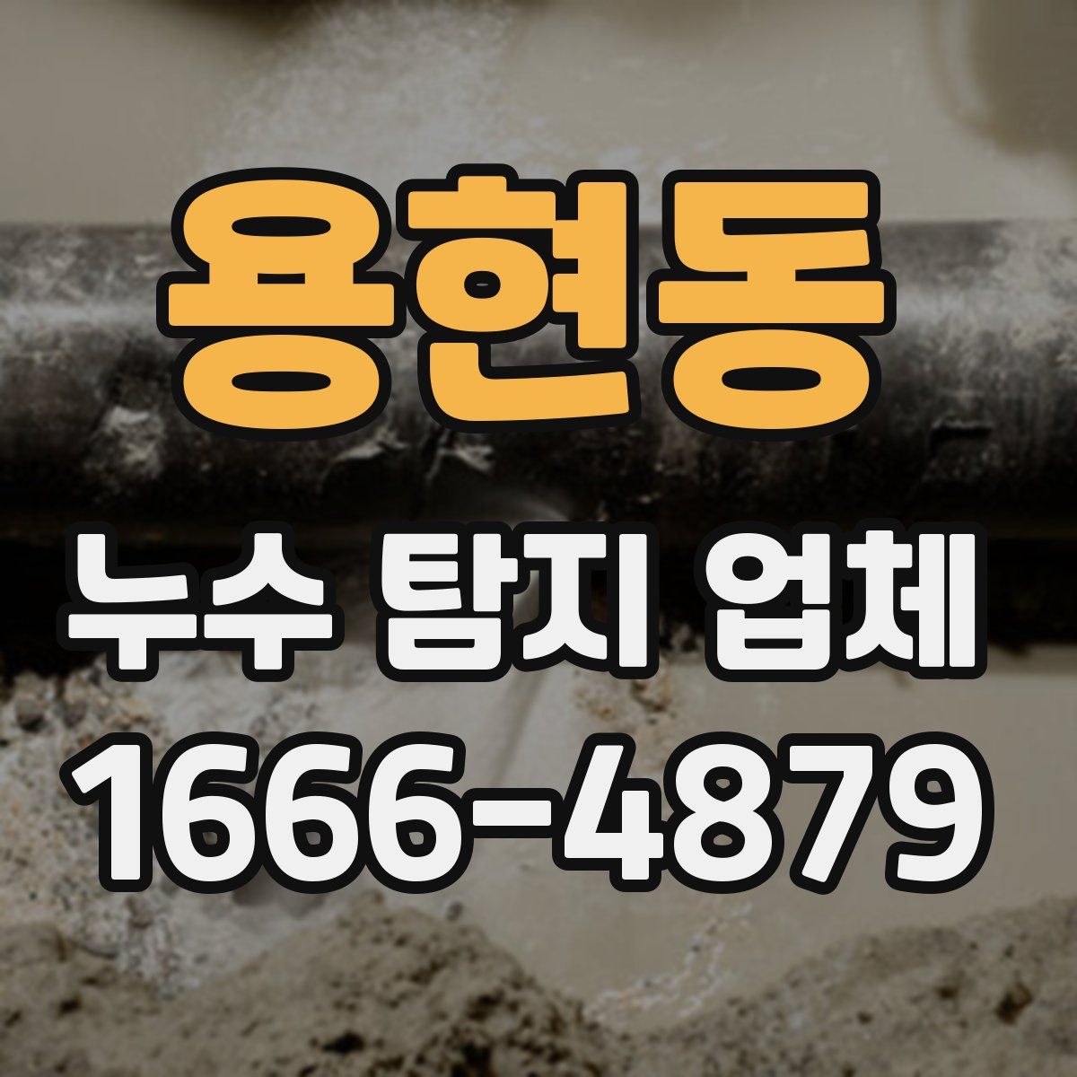 용현동 누수 탐지 업체