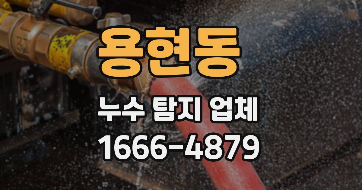 용현동 누수 탐지 업체