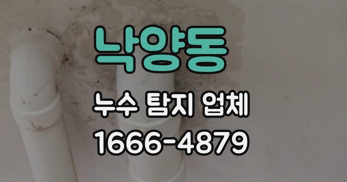 낙양동 누수 탐지 업체