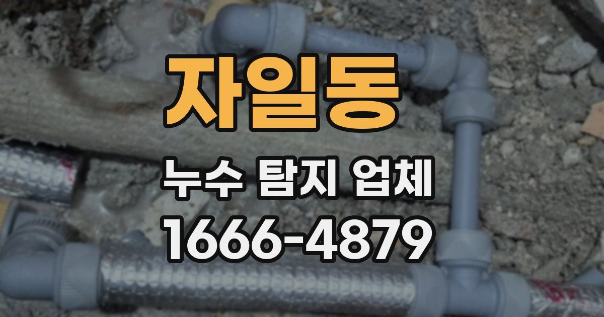 자일동 누수 탐지 업체