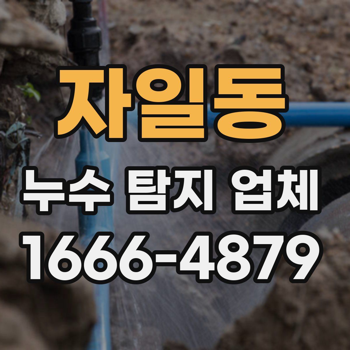 자일동 누수 탐지 업체