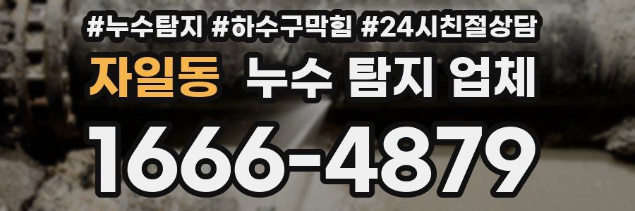 자일동 누수 탐지 업체