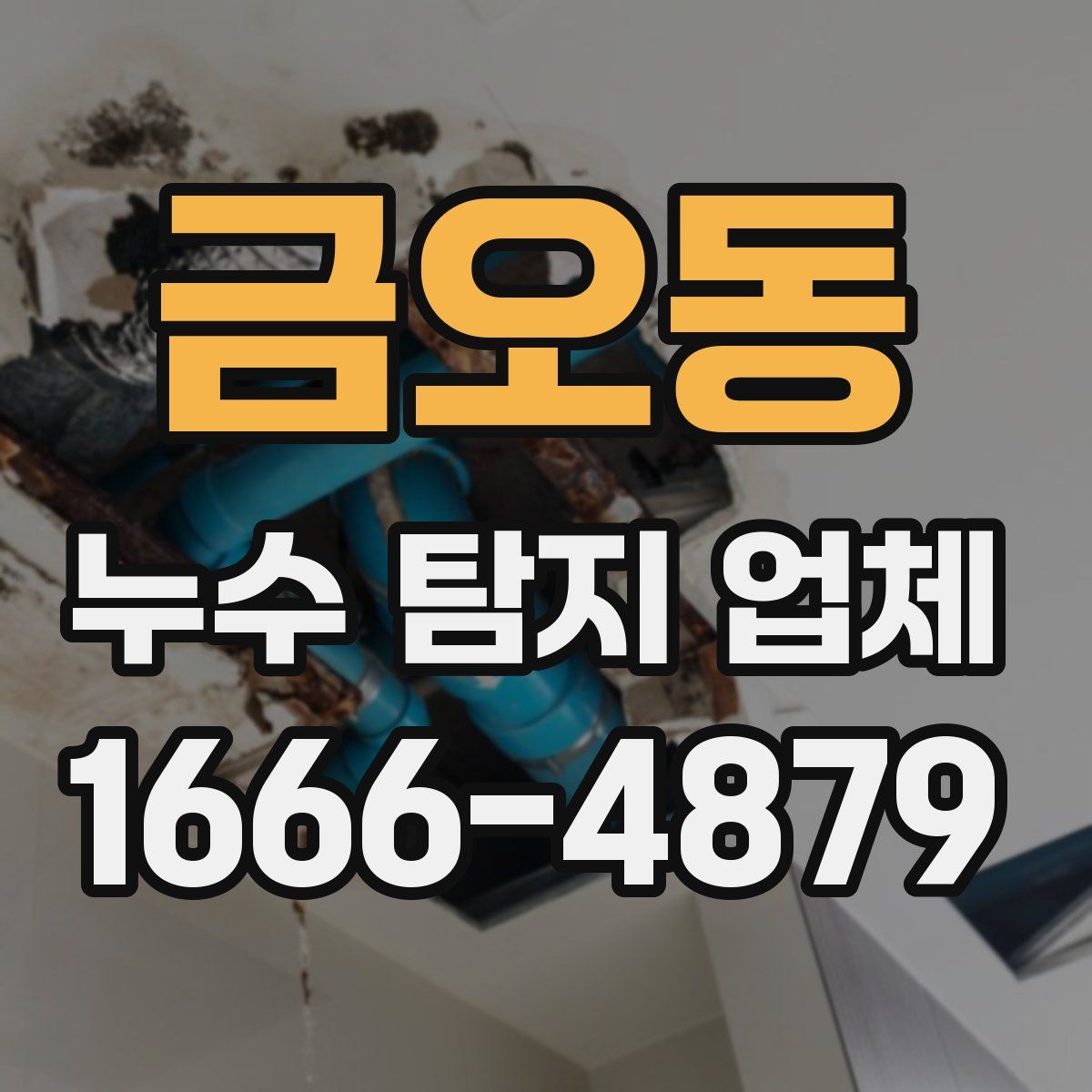 금오동 누수 탐지 업체