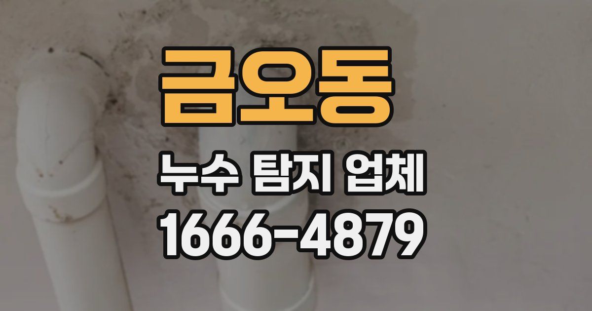 금오동 누수 탐지 업체
