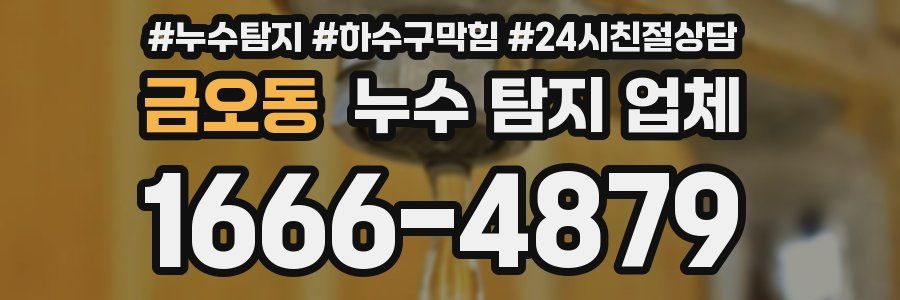 금오동 누수 탐지 업체