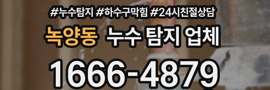 녹양동 누수 탐지 업체