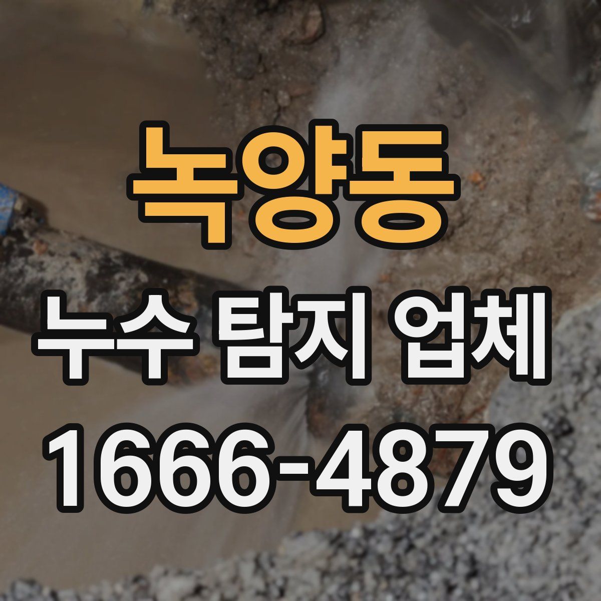 녹양동 누수 탐지 업체