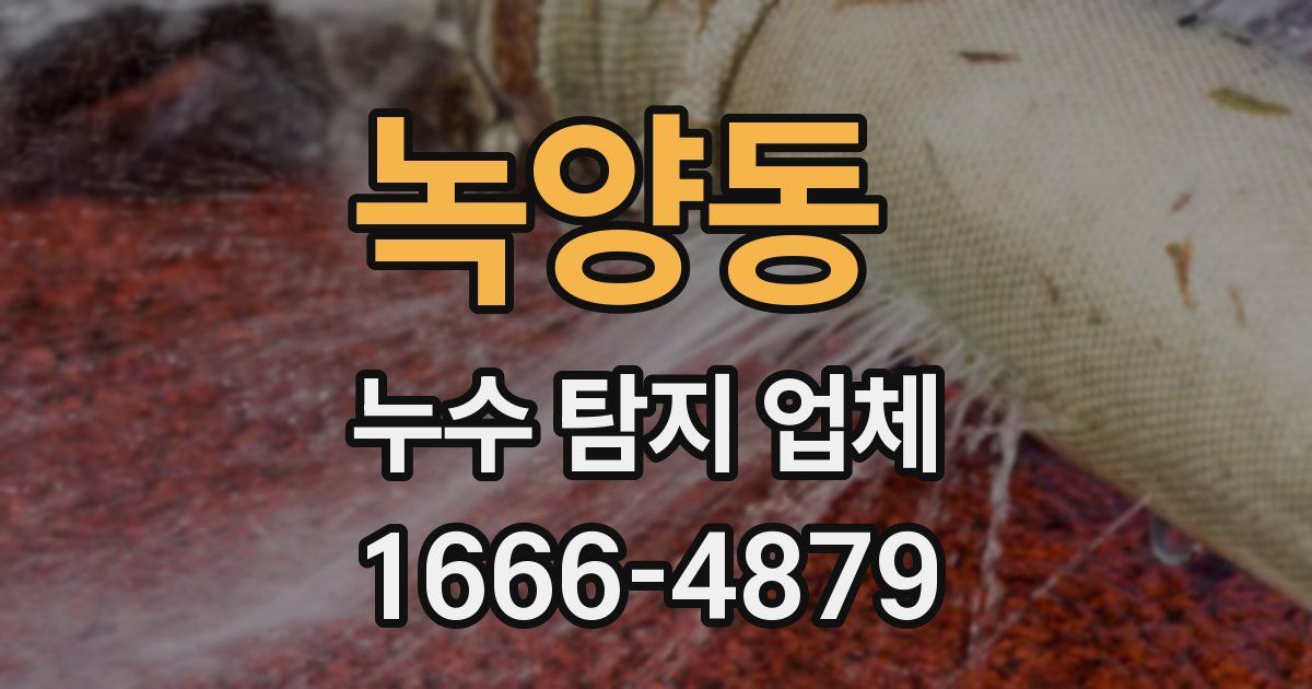 녹양동 누수 탐지 업체