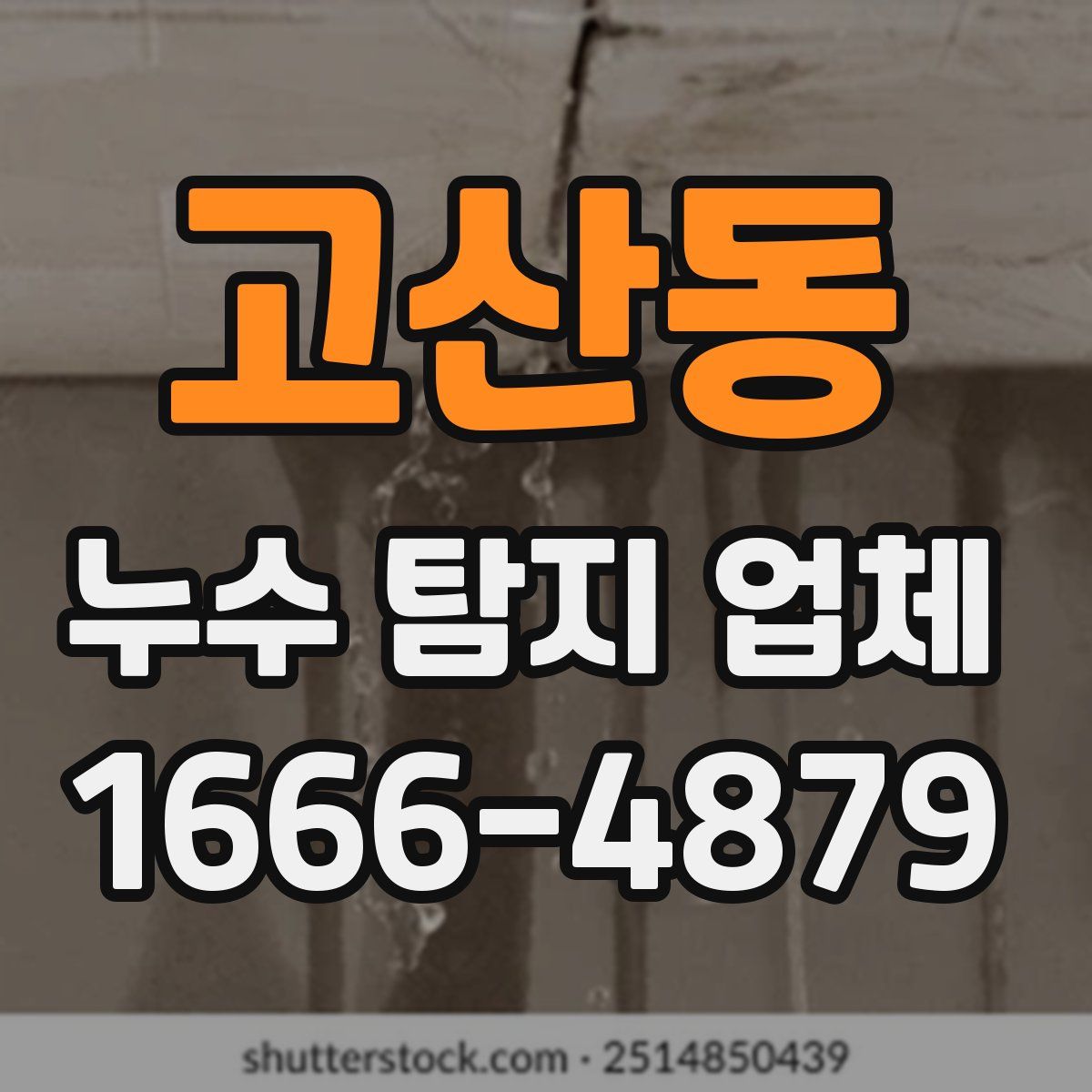 고산동 누수 탐지 업체