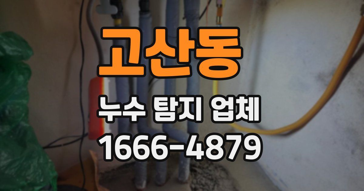 고산동 누수 탐지 업체