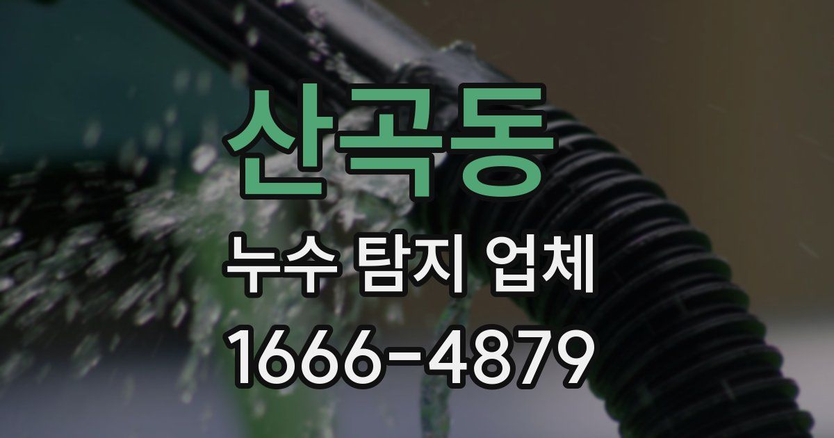 산곡동 누수 탐지 업체