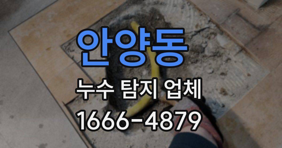 안양동 누수 탐지 업체