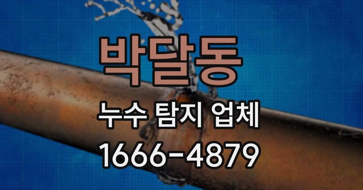 박달동 누수 탐지 업체
