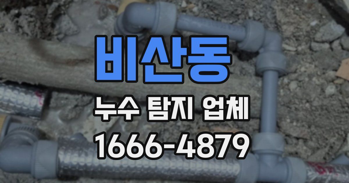 비산동 누수 탐지 업체