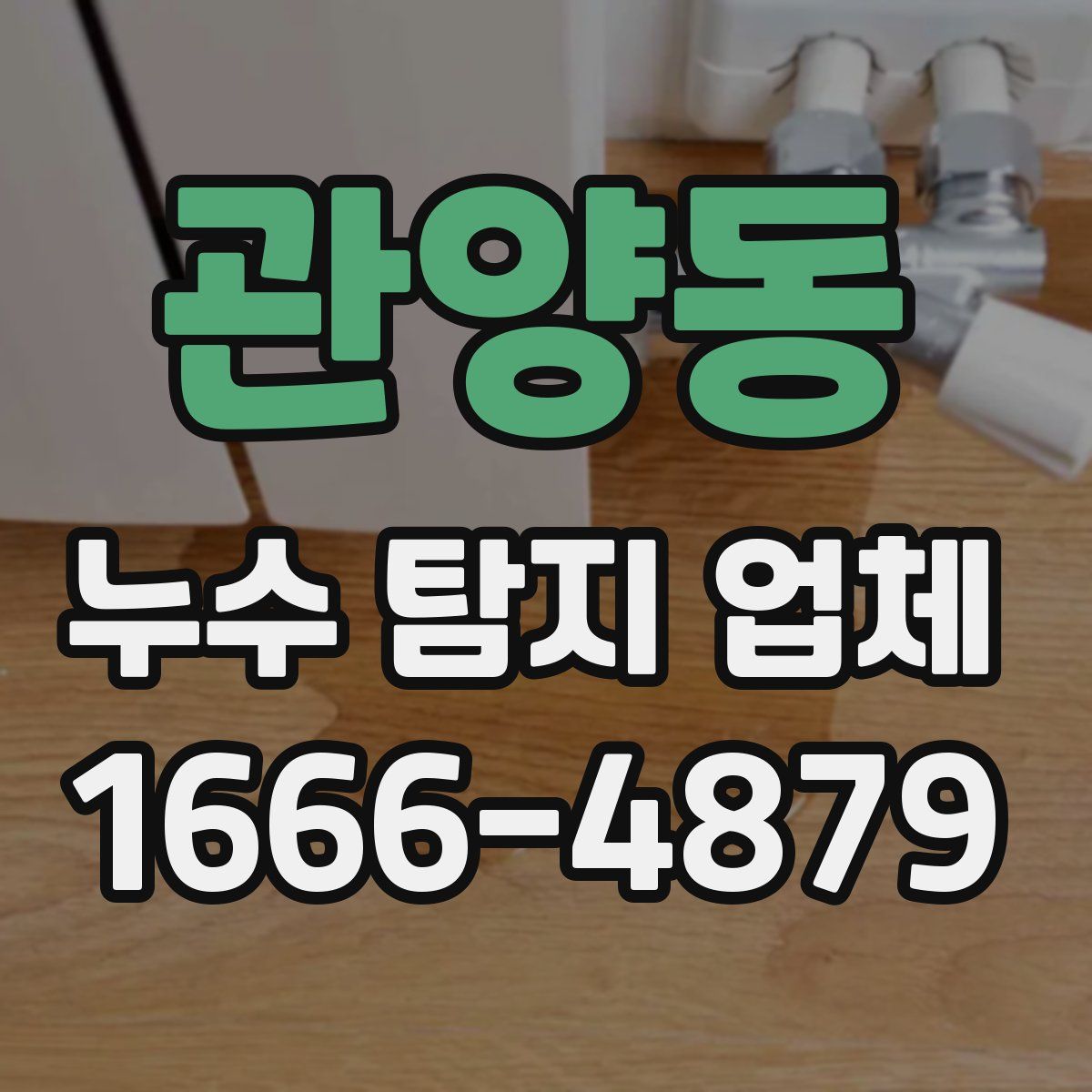 관양동 누수 탐지 업체