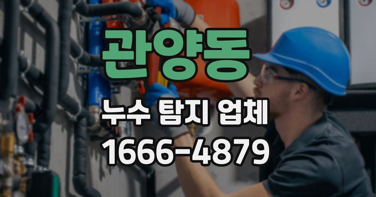 관양동 누수 탐지 업체