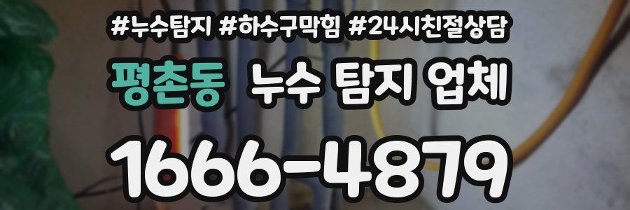 평촌동 누수 탐지 업체