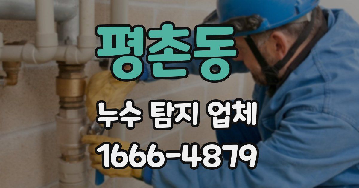 평촌동 누수 탐지 업체