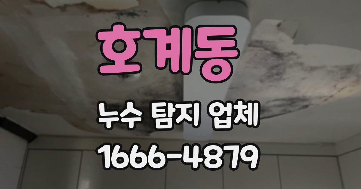 호계동 누수 탐지 업체