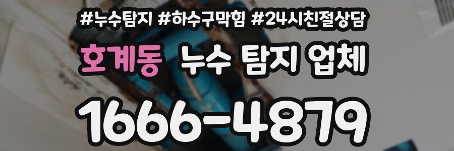 호계동 누수 탐지 업체