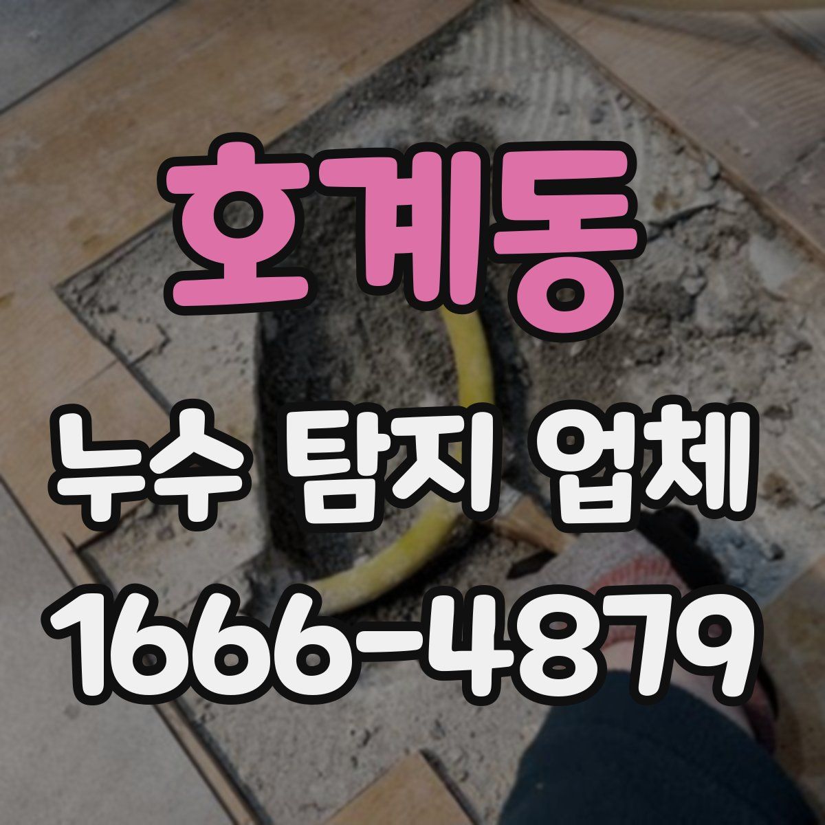 호계동 누수 탐지 업체