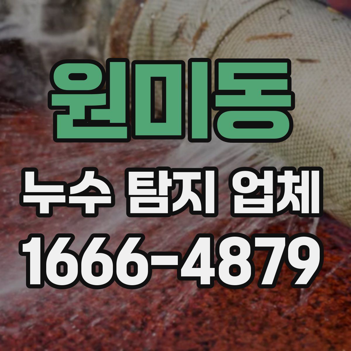 원미동 누수 탐지 업체