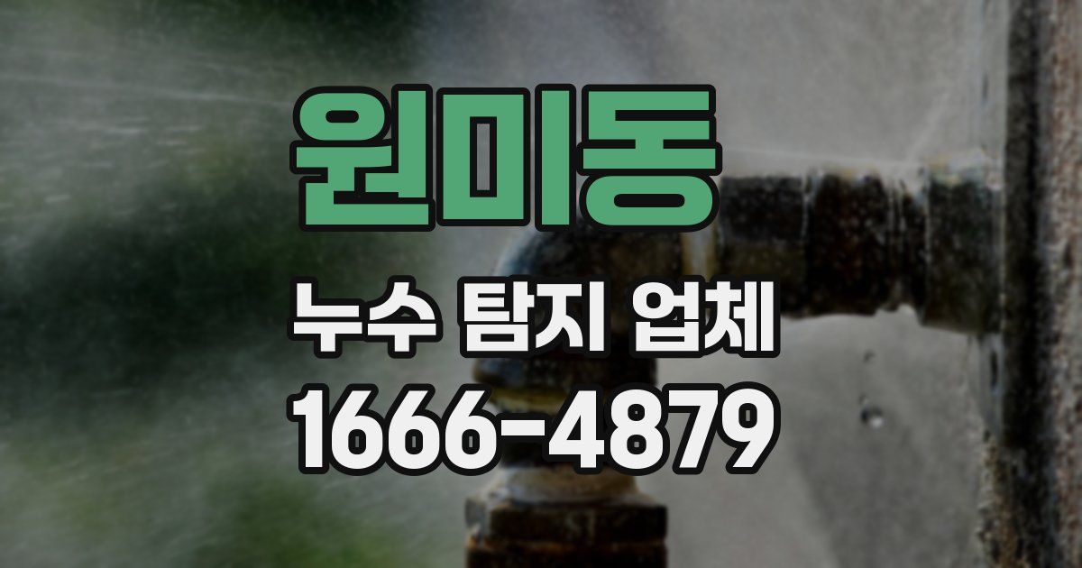 원미동 누수 탐지 업체