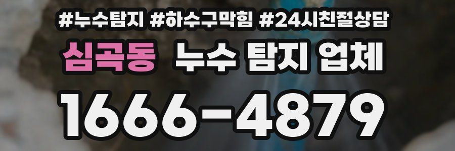 심곡동 누수 탐지 업체