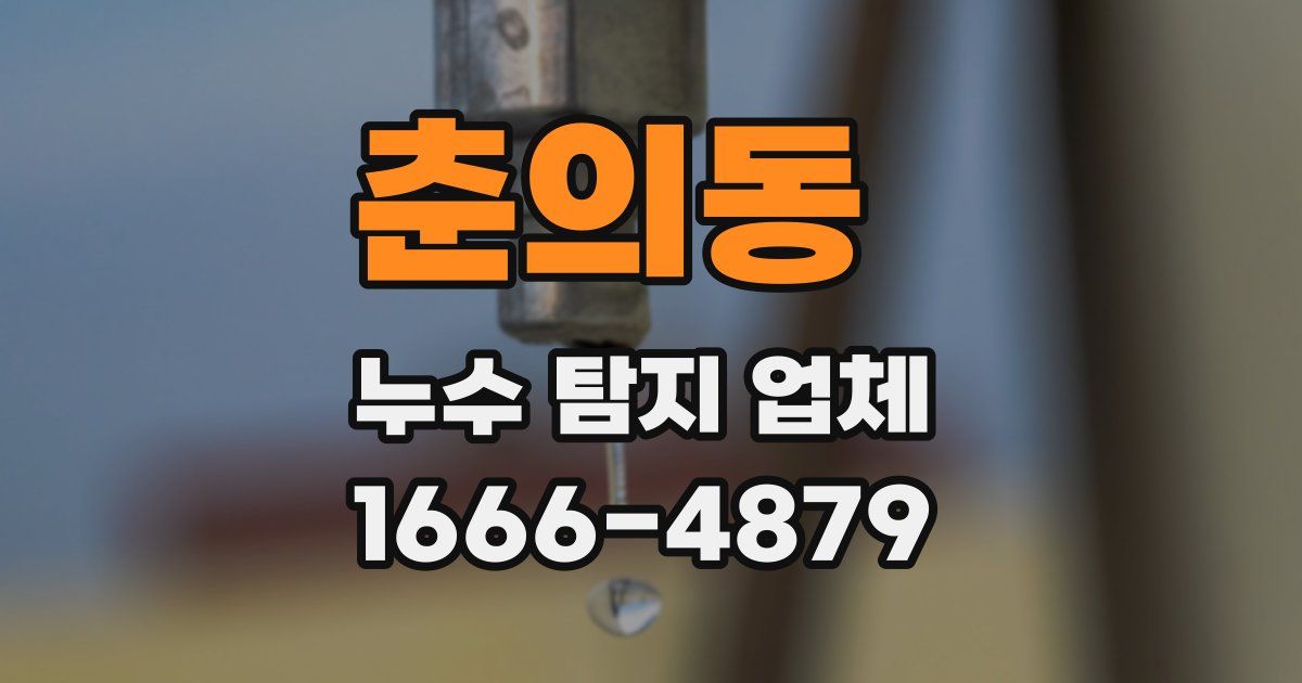 춘의동 누수 탐지 업체