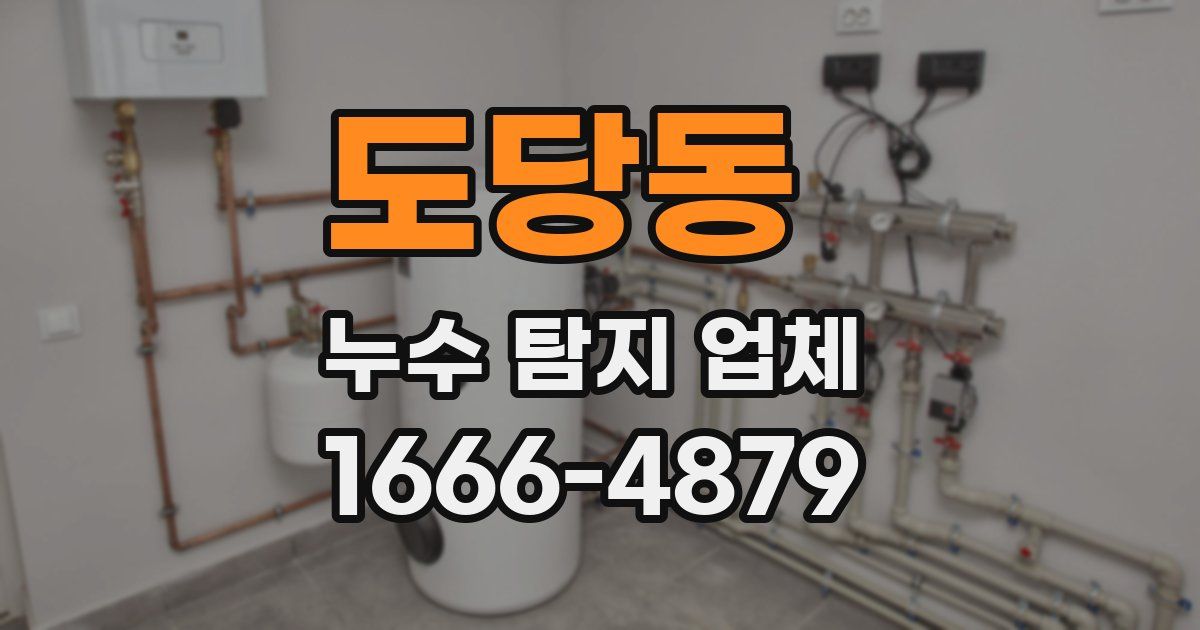 도당동 누수 탐지 업체