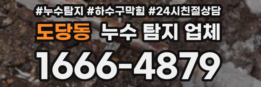 도당동 누수 탐지 업체
