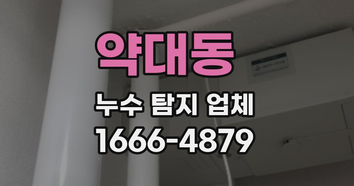 약대동 누수 탐지 업체