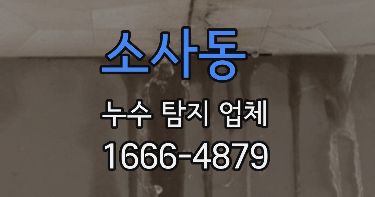 소사동 누수 탐지 업체